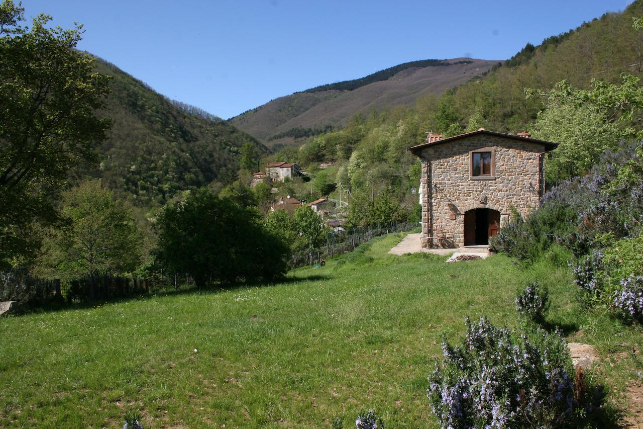 فيلا Podere Pian De' Cortini Serravalle  المظهر الخارجي الصورة